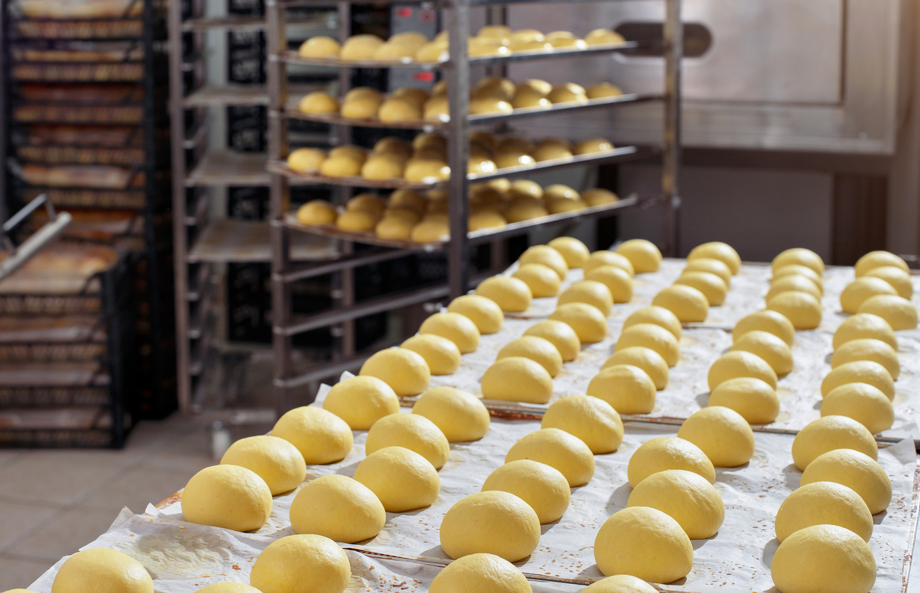 Hamburger breads in bakery